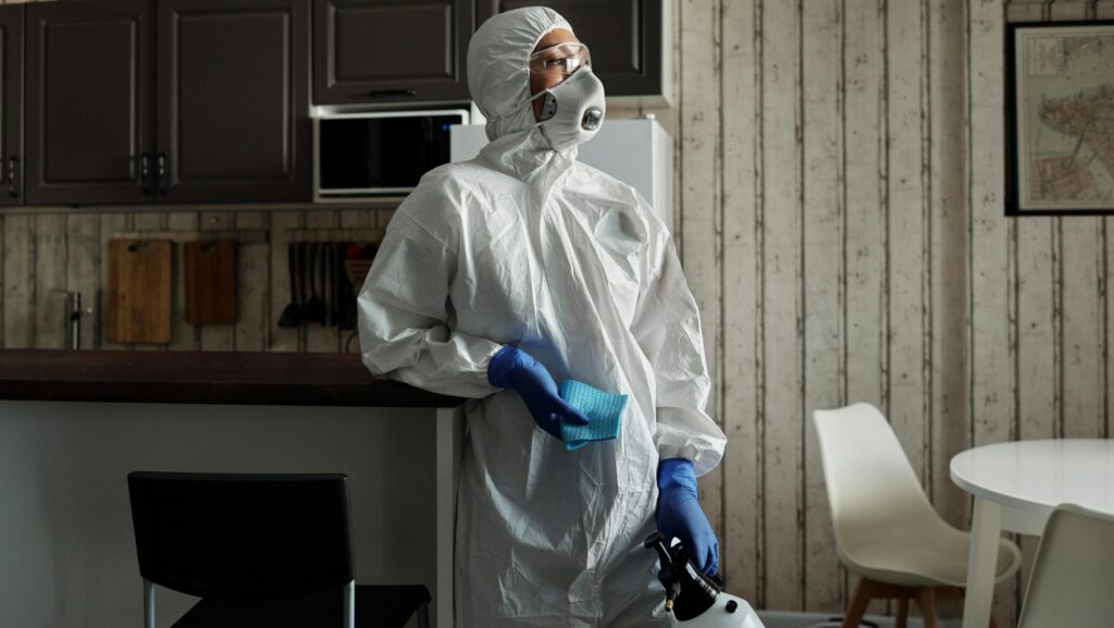 décontamination fongique